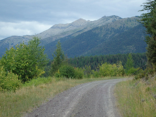 GDMBR: Climbing NF-4353 towards Richmond Peak, MT.